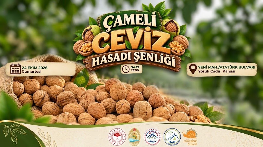 Çameli’de Ceviz Hasadı Coşkusu Başlıyor